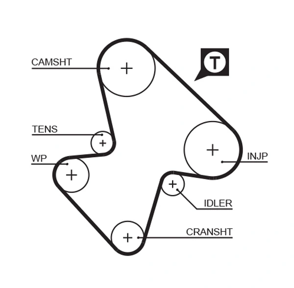 Timing Belt