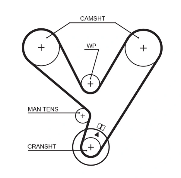 Timing Belt
