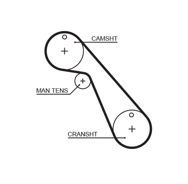 Timing Belt