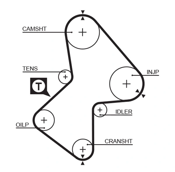 Timing Belt