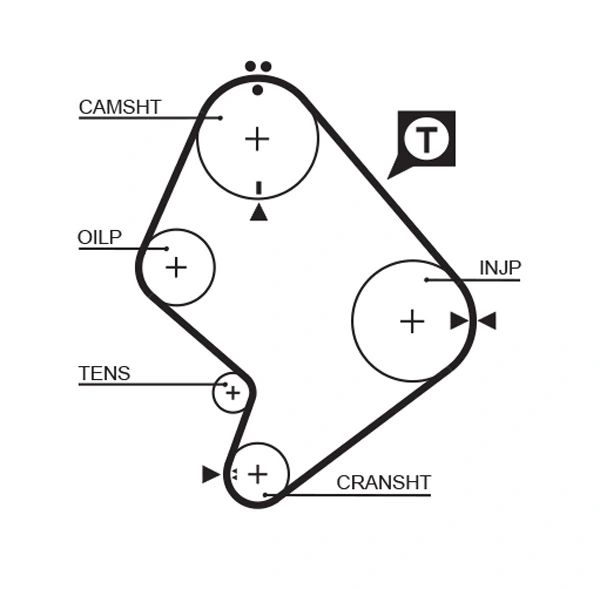 Timing Belt