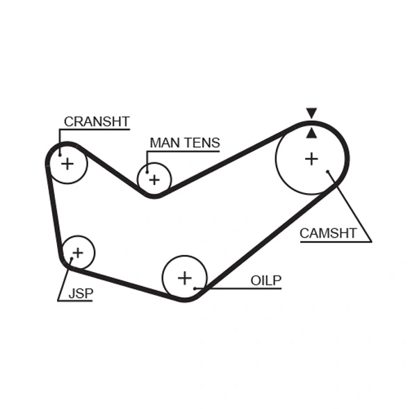 Timing Belt