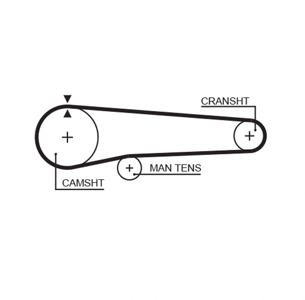 Timing Belt
