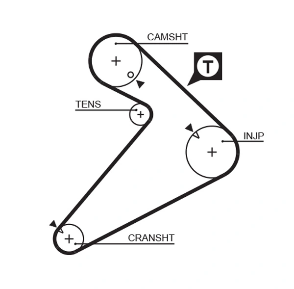 Timing Belt
