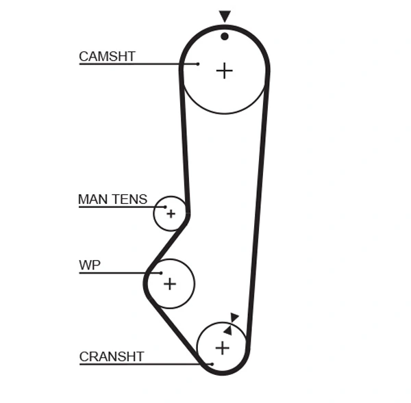 Timing Belt