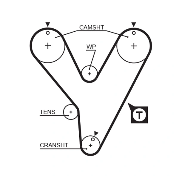 Timing Belt