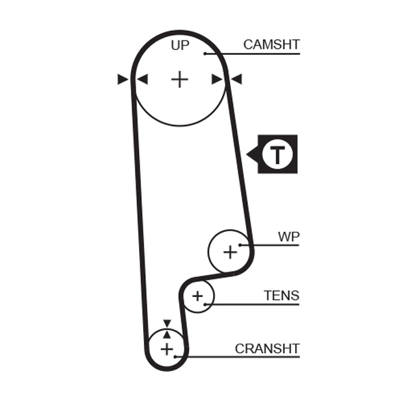 Timing Belt