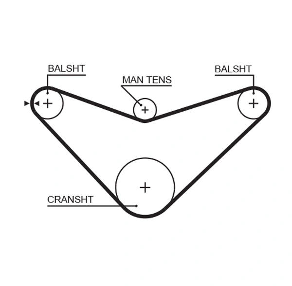 Timing Belt