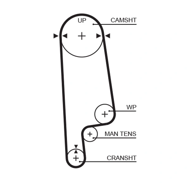 Timing Belt