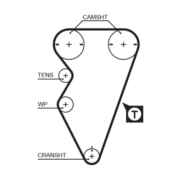 Timing Belt