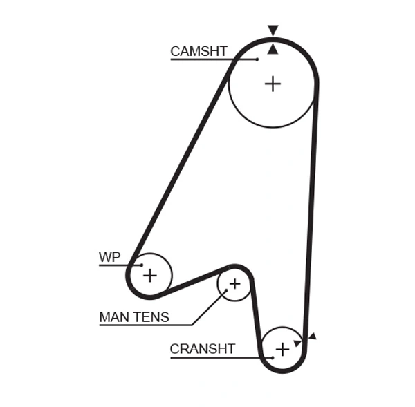 Timing Belt