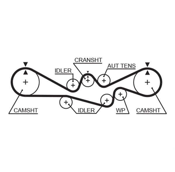 Timing Belt
