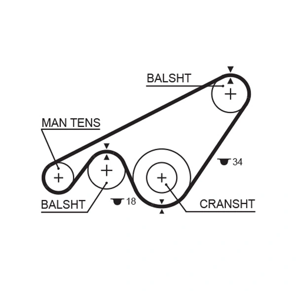 Timing Belt