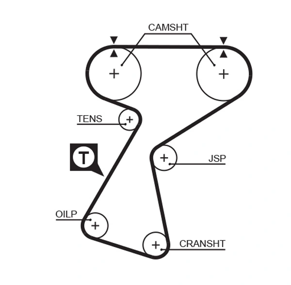 Timing Belt