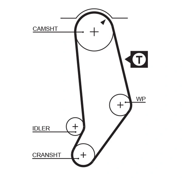Timing Belt