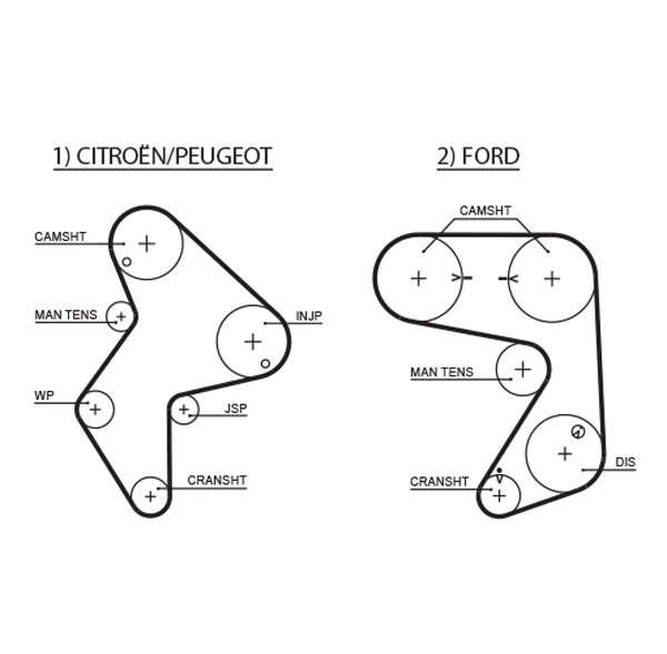 Timing Belt