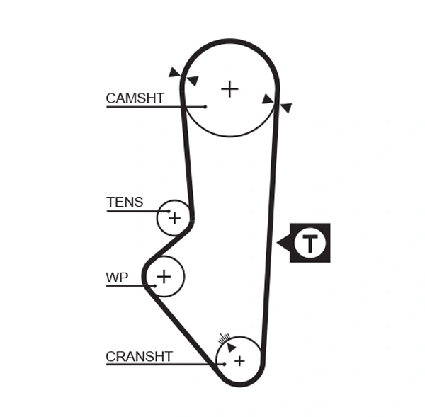 Timing Belt