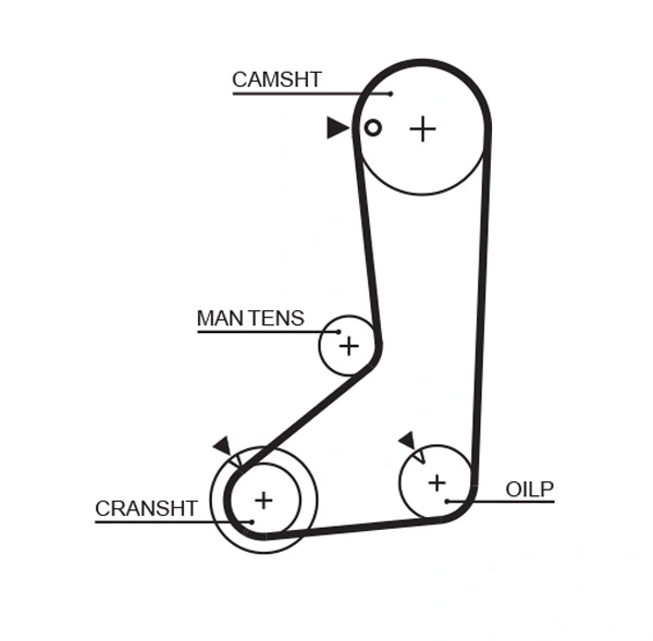Timing Belt