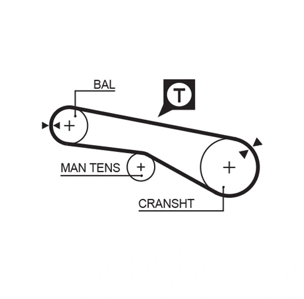 Timing Belt