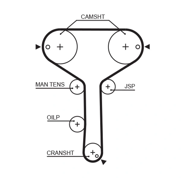 Timing Belt