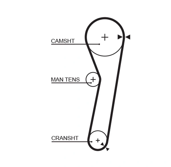 Timing Belt