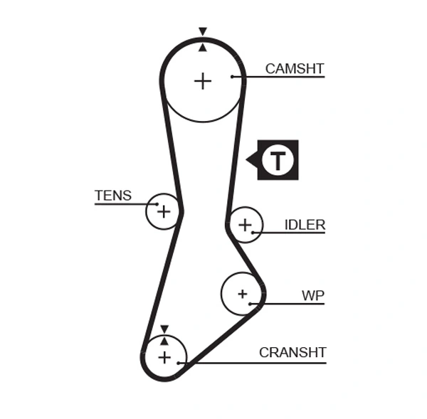 Timing Belt