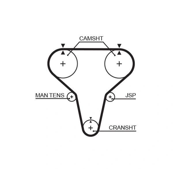 Timing Belt