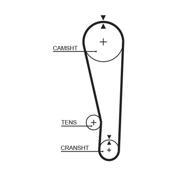 Timing Belt