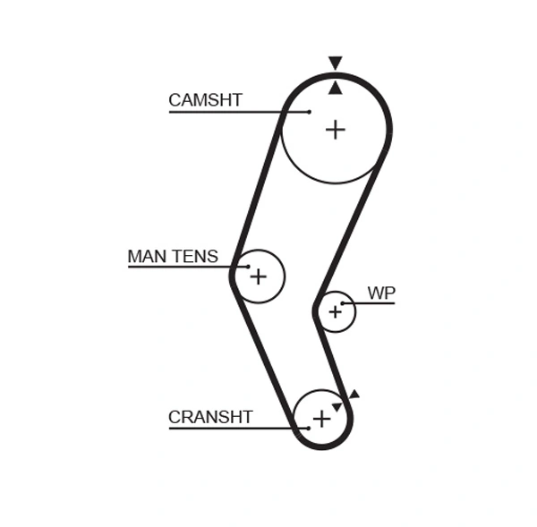 Timing Belt