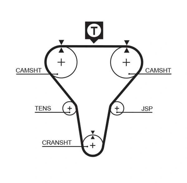 Timing Belt