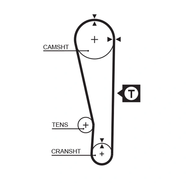 Timing Belt