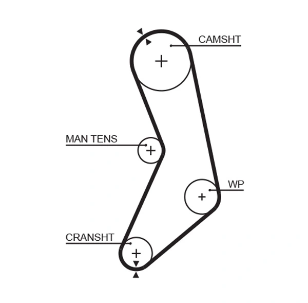 Timing Belt