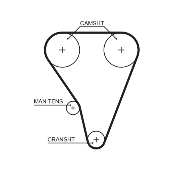 Timing Belt