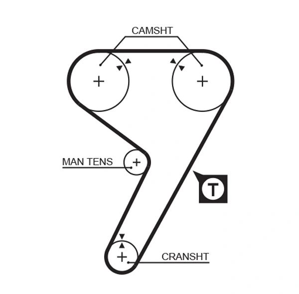 Timing Belt