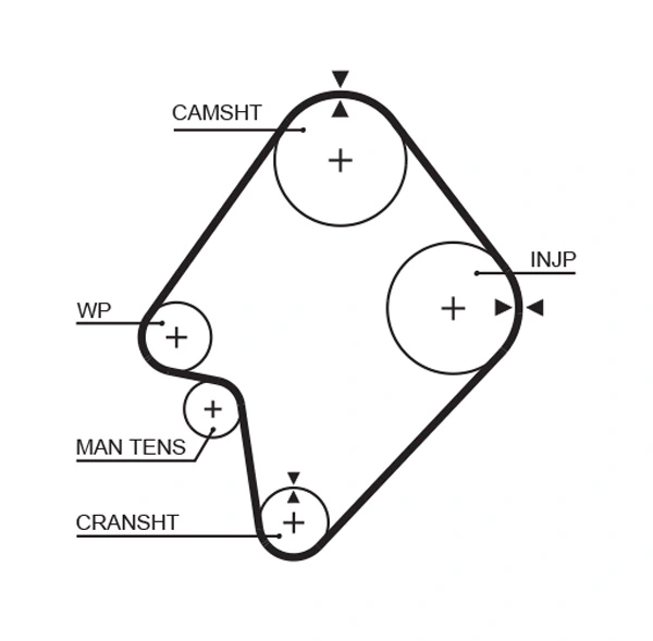 Timing Belt
