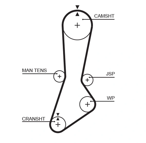 Timing Belt
