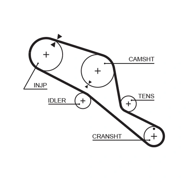 Timing Belt