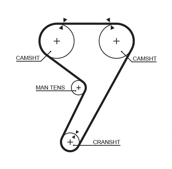 Timing Belt