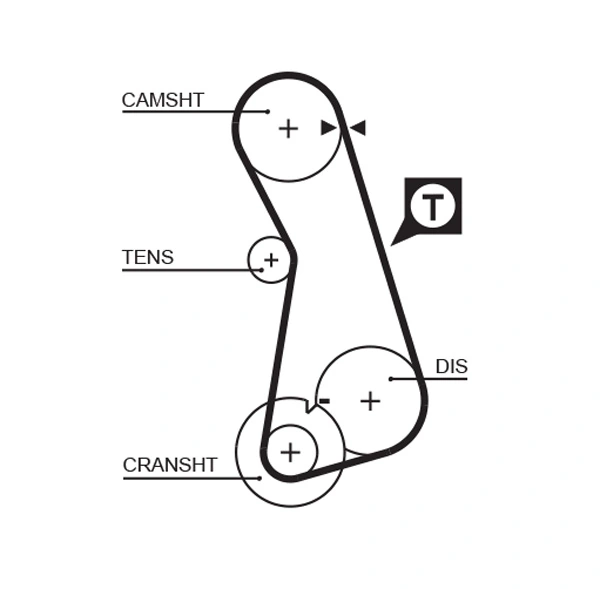 Timing Belt