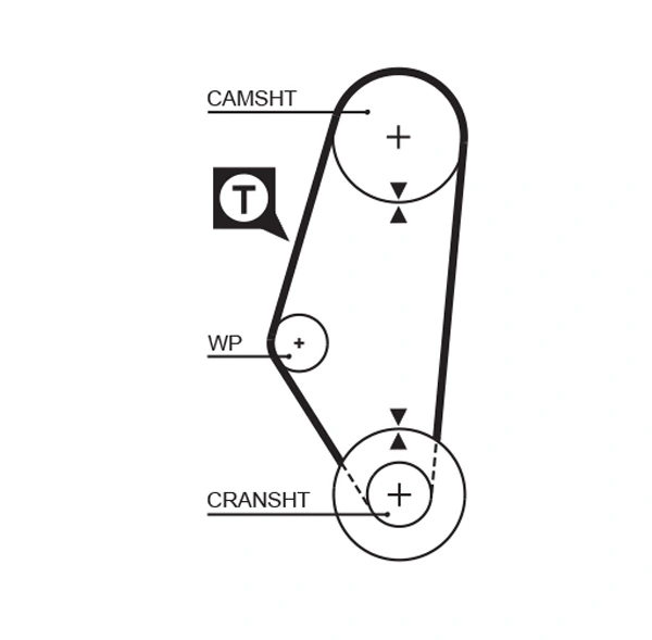 Timing Belt