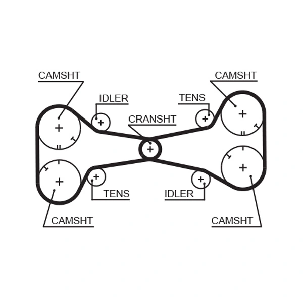 Timing Belt