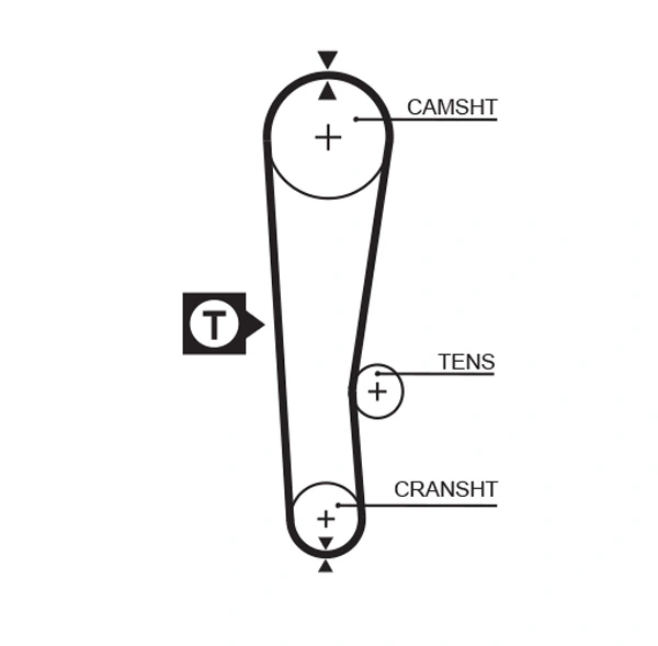 Timing Belt