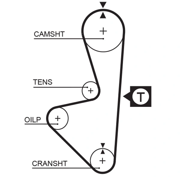 Timing Belt