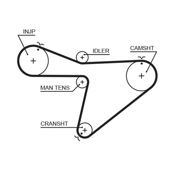Timing Belt