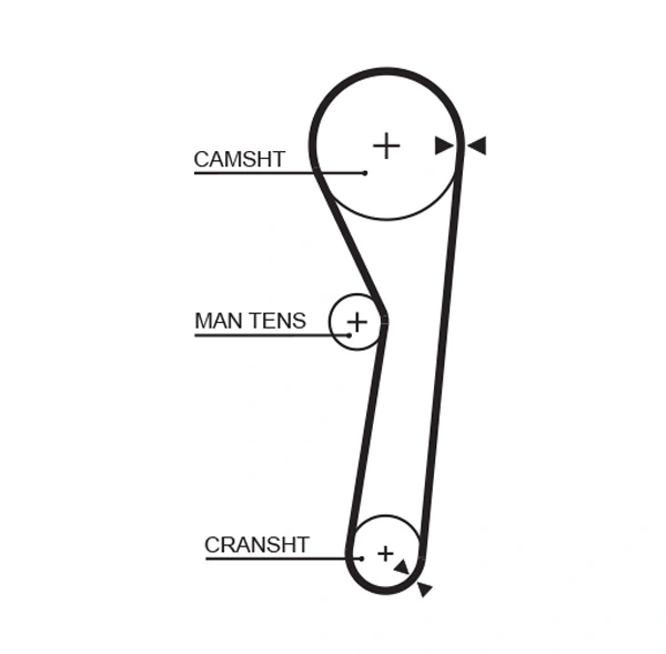 Timing Belt