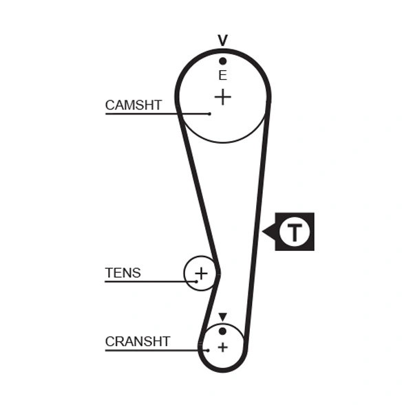 Timing Belt