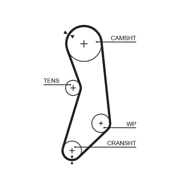 Timing Belt