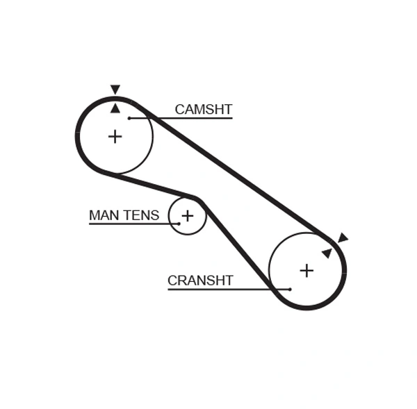 Timing Belt