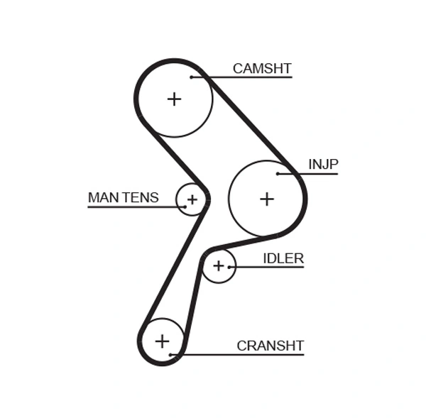 Timing Belt