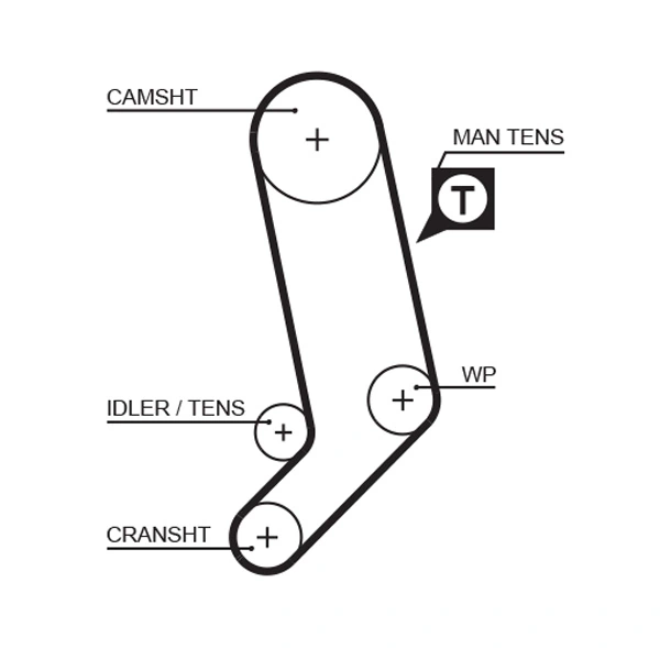 Timing Belt